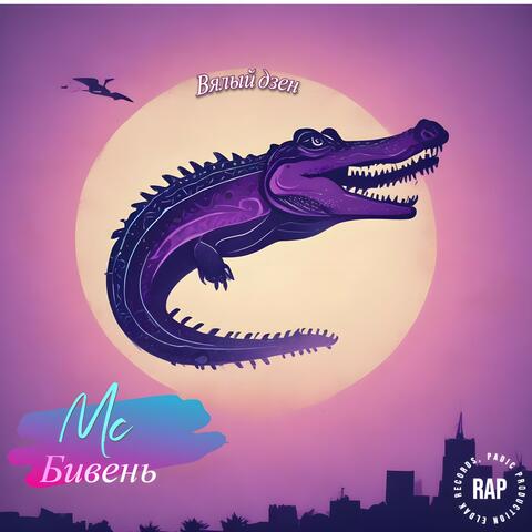 Вялый дзэн album art