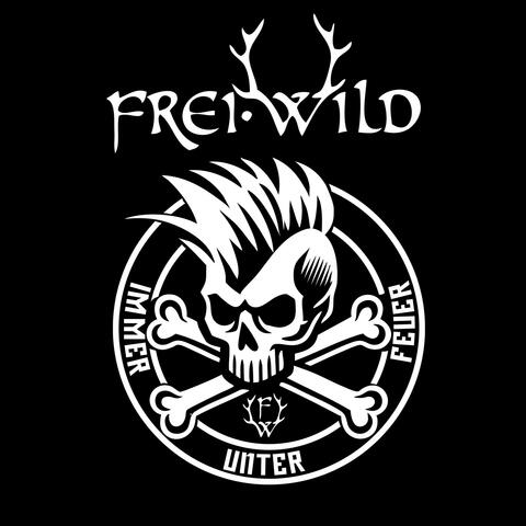 Immer unter Feuer album art