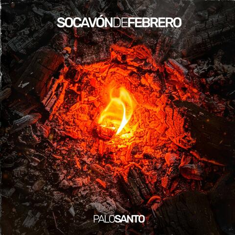 Socavón de Febrero album art