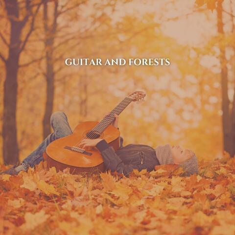 Guitar and Forests album art