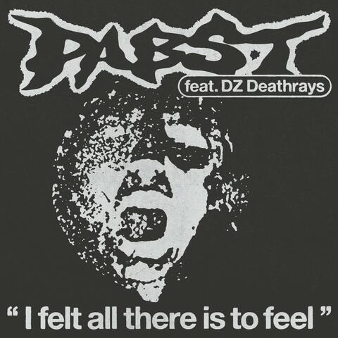 I felt all there is to feel album art