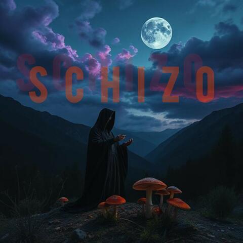 Schizo album art