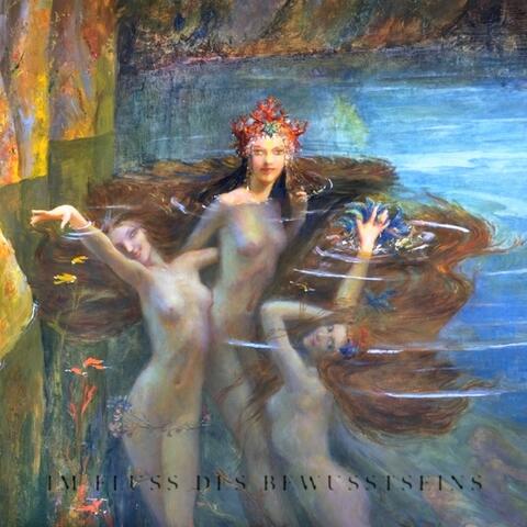 Im Fluss des Bewusstseins album art