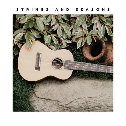 Strings and Seasons album art