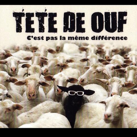 C'est pas la Même Différence album art