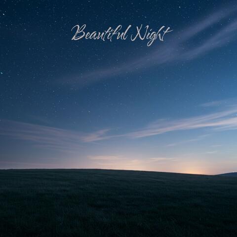 Beautiful Night album art