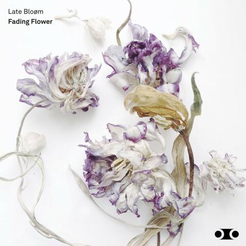 Fading Flower album art