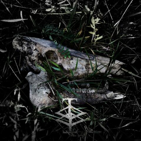 Zuruck album art