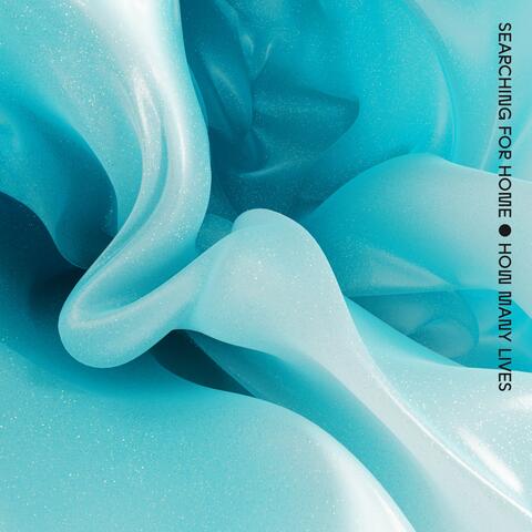 How Many Lives album art