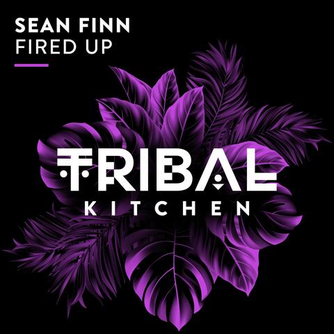 Fired Up album art