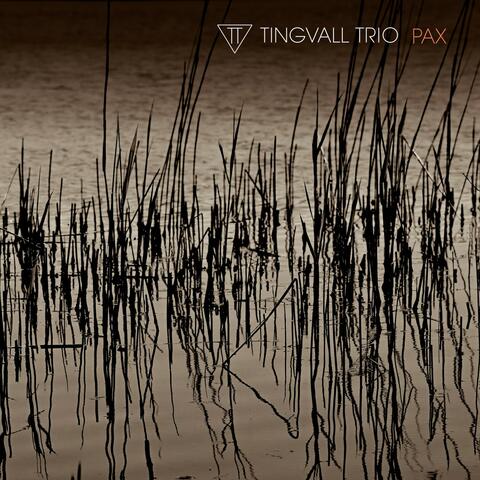 Pax album art