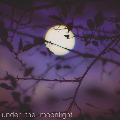 Under the Moonlight album art