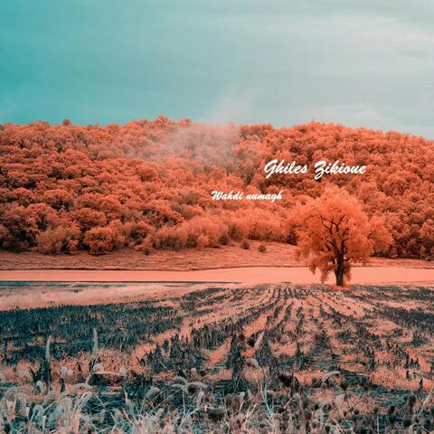 Wahdi Numagh album art