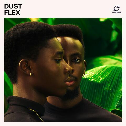 Dustflex: Instrumental Rap Hip Hop Beats album art