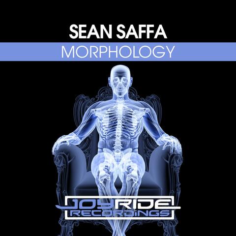 Morphology album art