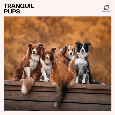 Tranquil Pups: Relaxing Music for Dogs album art