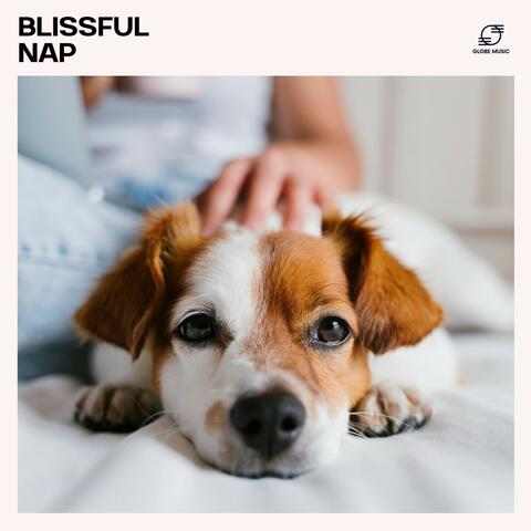 Blissful Nap: Pet Sleep Music album art