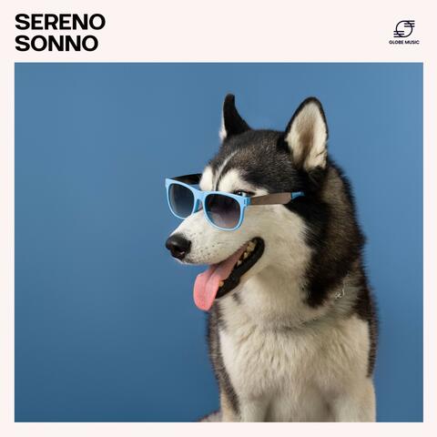 Sereno Sonno: Musica per Animali album art
