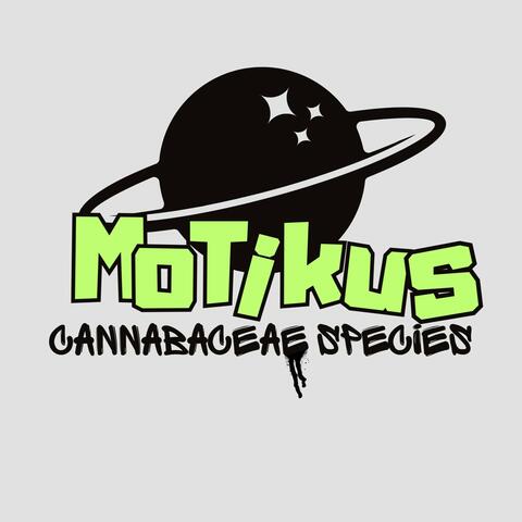 Cannabaceae Species album art