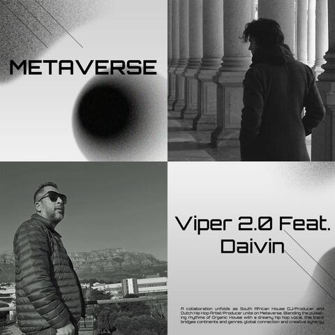 Metaverse album art