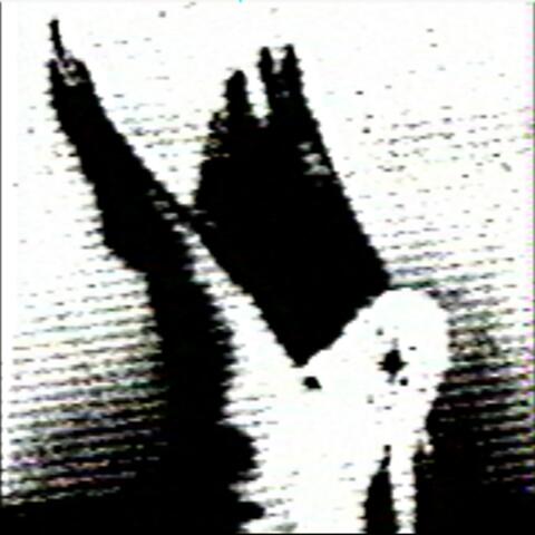 Night album art