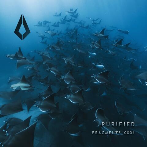 Purified Fragments XXXI album art