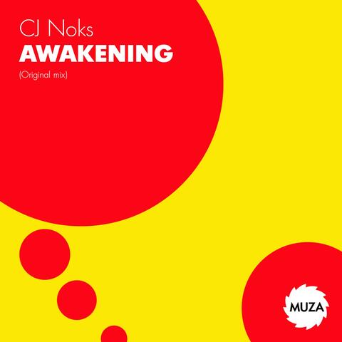 Awakening album art