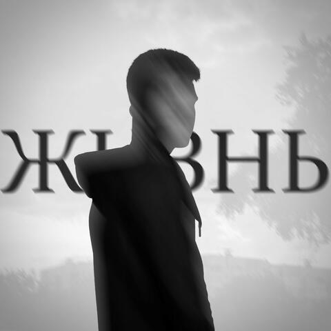 Жизнь album art