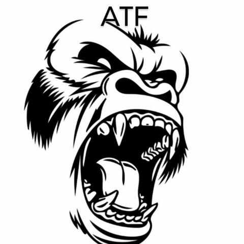 Silverbackin album art