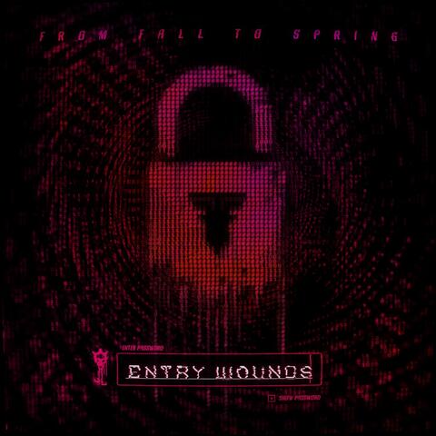 ENTRY WOUNDS album art