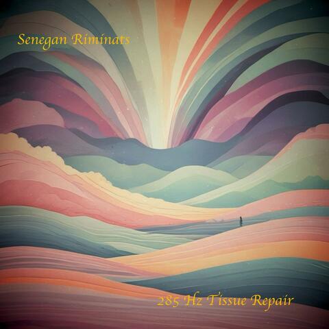 285 Hz Tissue Repair album art