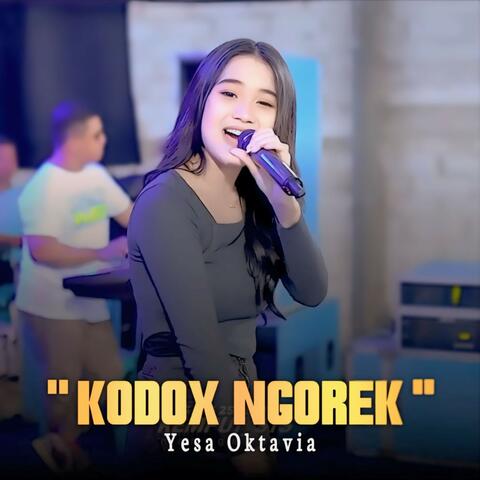Kodox Ngorek album art