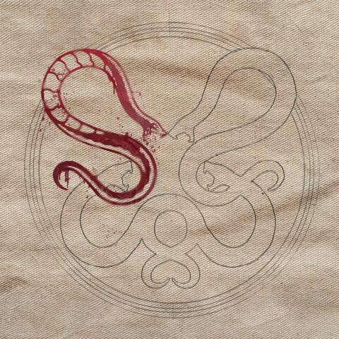 Spitting Blood Again album art