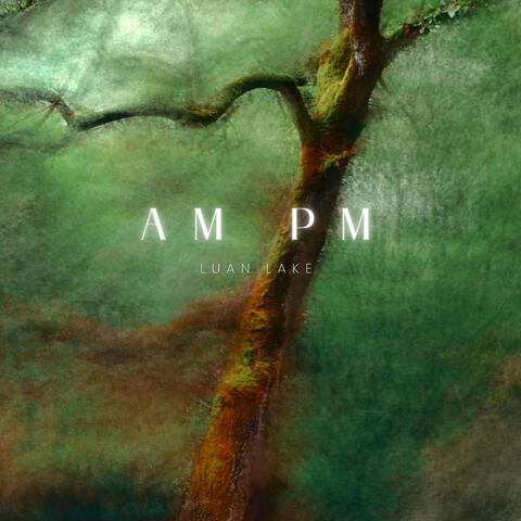 Am Pm album art