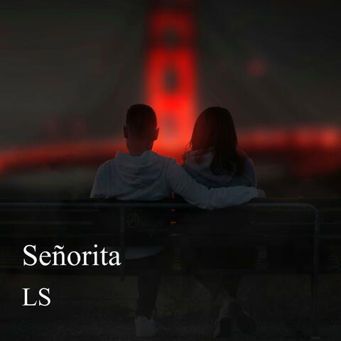 Señorita album art