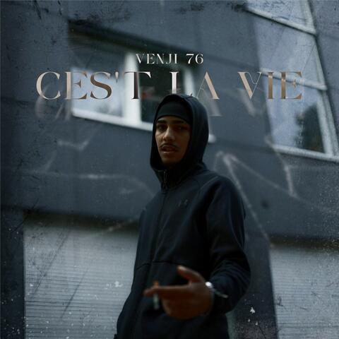C'est la vie album art