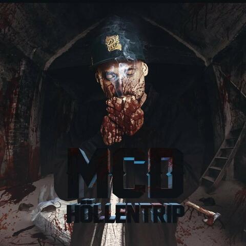 Höllentrip album art