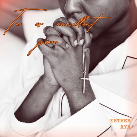 Tu es excellent père album art