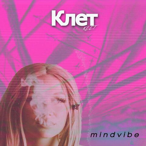 Mindvibe album art