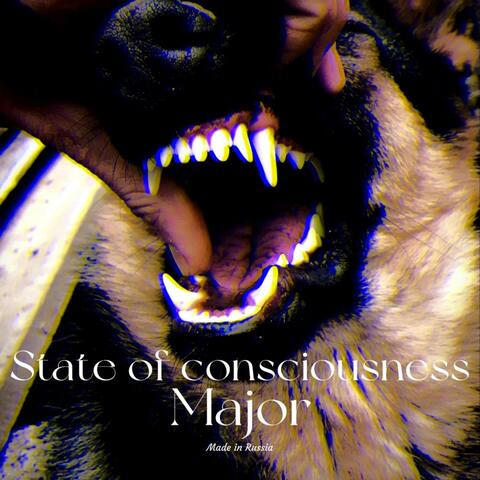 State of Consciousness album art