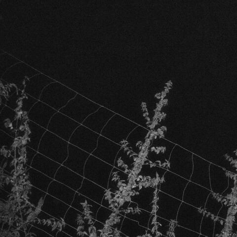 Stories of Immeasurable Self-Importance album art