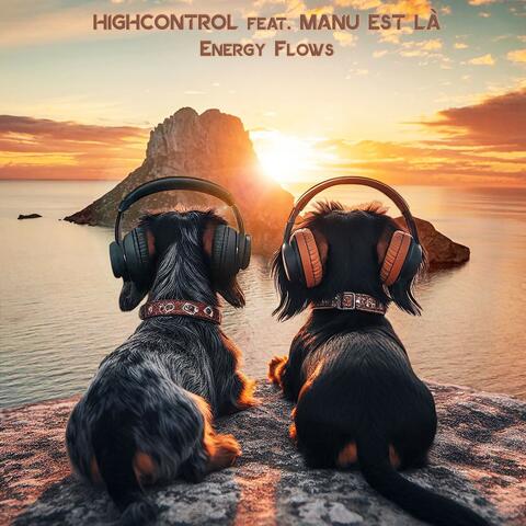 Energy Flows album art