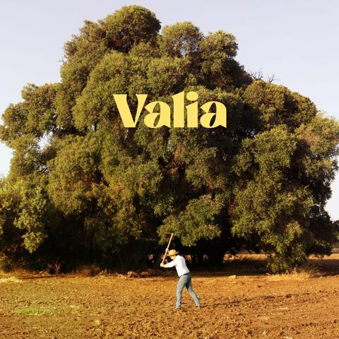 Valia album art