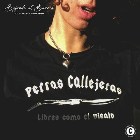 Bajando al Barrio album art