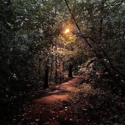 Слишком долгое лето album art