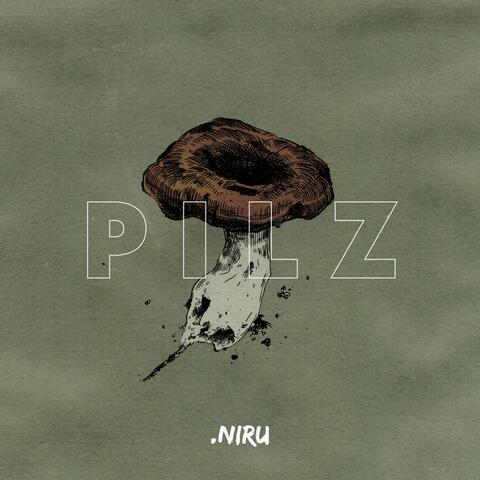 Pilz album art