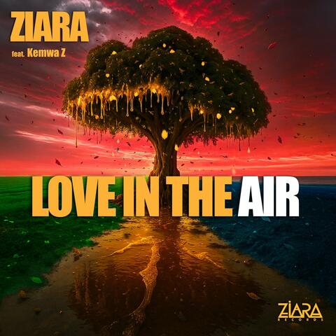 Love in the Air album art