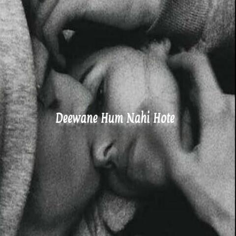 Deewane Hum Nahi Hote album art