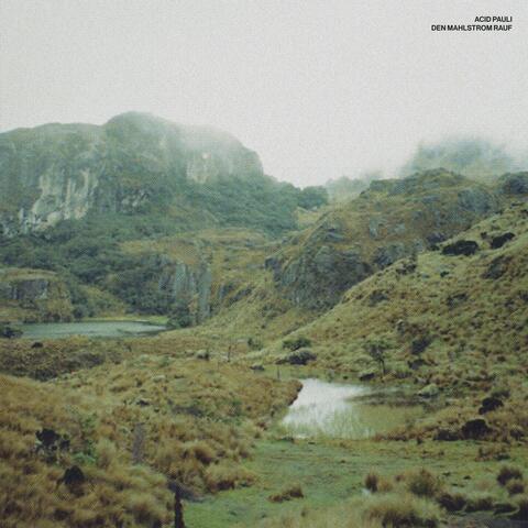 Den Mahlstrom rauf album art