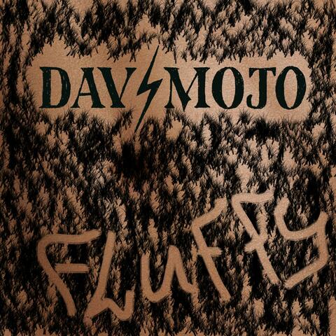 Fluffy album art